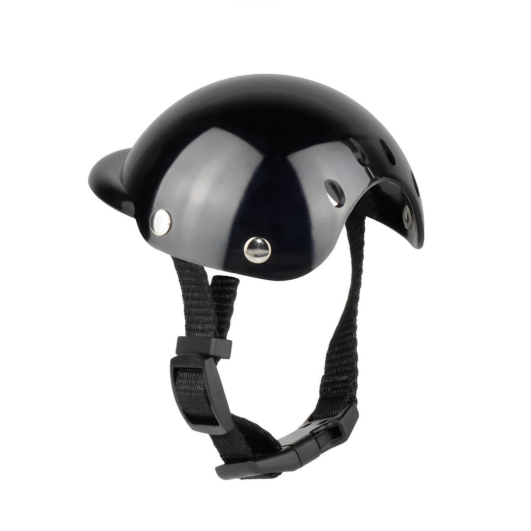 Motorhelm Und Schutzbrille Für Hunde – Trendy Und Sicher