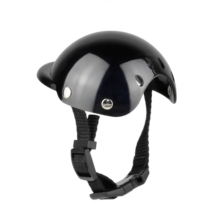 Motorhelm Und Schutzbrille Für Hunde – Trendy Und Sicher