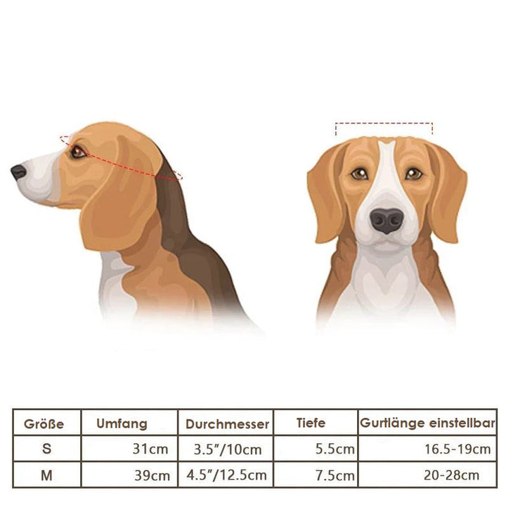 Motorhelm Und Schutzbrille Für Hunde – Trendy Und Sicher