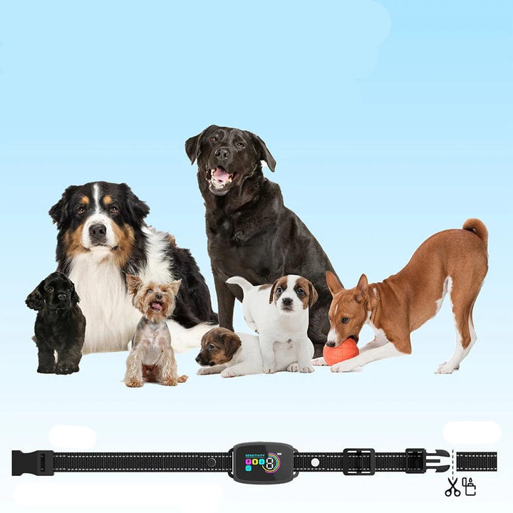 LUNA – Intelligentes Anti-Bell-Hundehalsband | HD-Display und wasserdicht