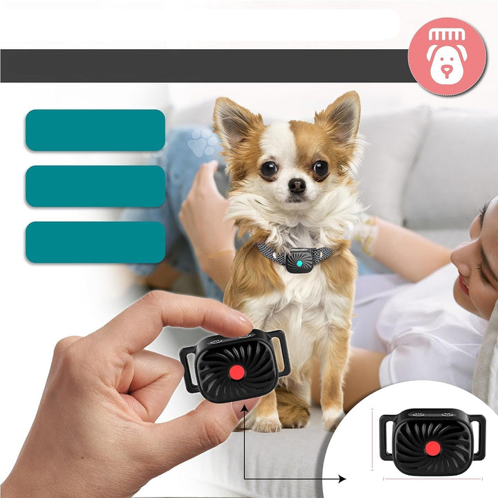 CANINECARE - BarkEase Anti-Bark Halsband | Für Kleine Hunde