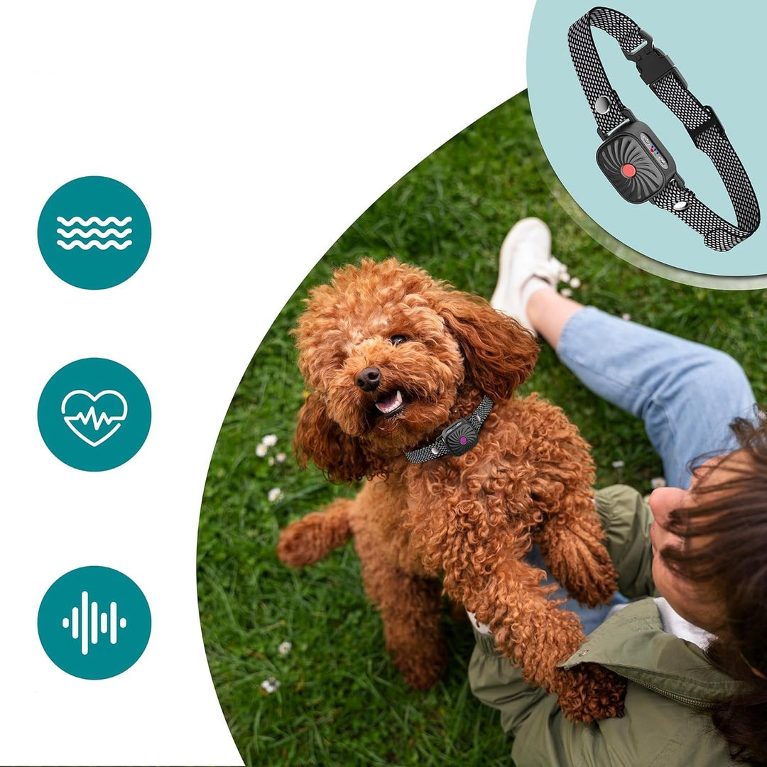 CANINECARE - BarkEase Anti-Bark Halsband | Für Kleine Hunde