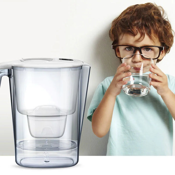 AquaGuard - Tragbarer Wasserfilter für den Hausgebrauch