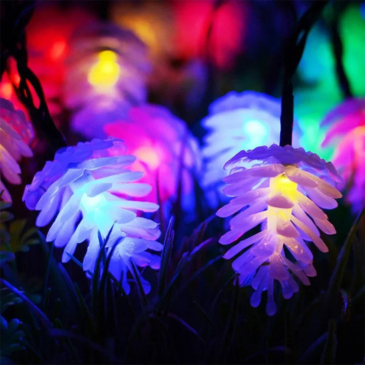 Pinara – Kerstverlichting