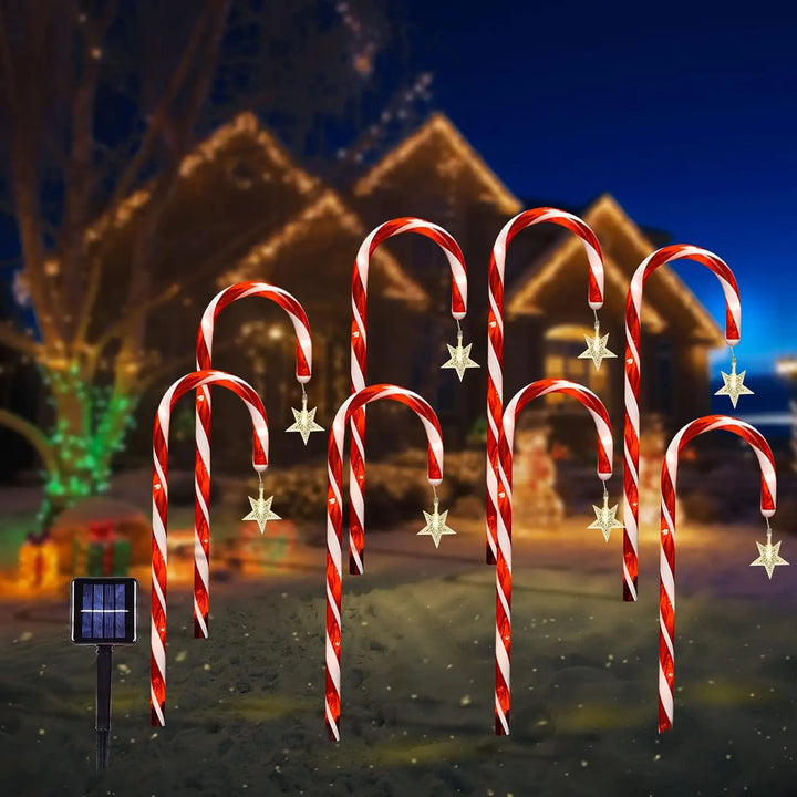 JardinEtoile – Weihnachtsbeleuchtung aus Zucker für den Garten